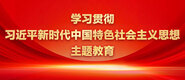 逼逼色色网学习贯彻习近平新时代中国特色社会主义思想主题教育_fororder_ad-371X160(2)